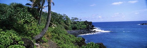 Framed Palm trees with plants growing at a coast, Black Sand Beach, Hana Highway, Waianapanapa State Park, Maui, Hawaii, USA Print