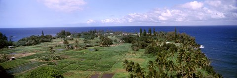 Framed Keanae Peninsula, Hana, Maui, Hawaii, USA Print