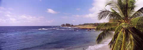 Framed Palm tree on the beach, Hamoa Beach, Hana, Maui, Hawaii, USA Print