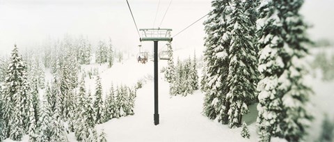 Framed Chair lift and snowy evergreen trees at Stevens Pass, Washington State, USA Print