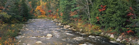 Framed River flowing through a forest, Ellis River, White Mountains, New Hampshire, USA Print