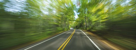 Framed Treelined road viewed from a moving vehicle Print