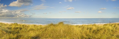 Framed Grass on the beach, Horsey Beach, Norfolk, England Print