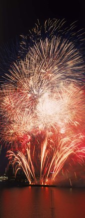 Framed Fireworks display against night sky Print