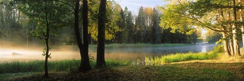 Framed Dal River, Sweden Print