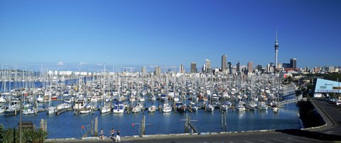 Framed Yachts at Waitemata Harbor, Sky Tower, Auckland, North Island, New Zealand Print