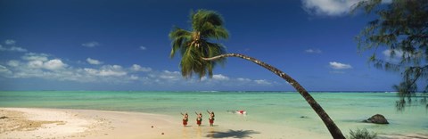 Framed Palm tree extended over the beach, Aitutaki, Cook Islands Print