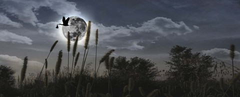 Framed Stork flying with baby in beak over moon Print