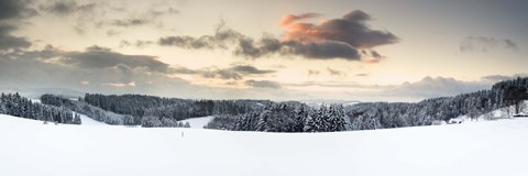 Framed Trees on a snow covered hill, Black Forest, Baden-Wurttemberg, Germany Print