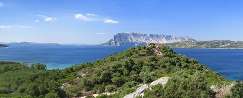 Framed Trees on a hill, Capo Coda Cavallo, Baronia, Sardinia, Italy Print