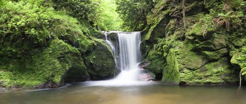 Framed Water in a forest, Geroldsau Waterfall, Black Forest, Baden-Wurttemberg, Germany Print