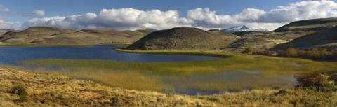 Framed Pond with sedges, Torres del Paine National Park, Chile Print