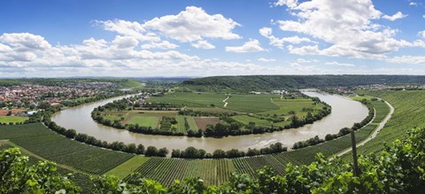 Framed High angle view of vineyards, Neckar River, Mundelsheim, Baden-Wurttemberg, Germany Print