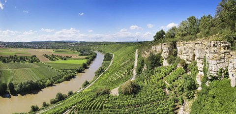 Framed High angle view of vineyards, Neckar River, Hessigheim, Baden-Wurttemberg, Germany Print