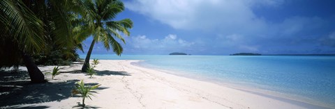 Framed Palm trees on the beach, Tapuaetai, Aitutaki, Cook Islands Print