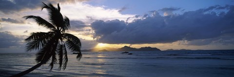 Framed Silhouette of coconut palm tree at sunset, from Anse Severe Beach, La Digue Island, Seychelles Print