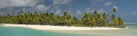 Framed Palm trees on the beach, Tapuaetai Motu, Aitutaki, Cook Islands Print