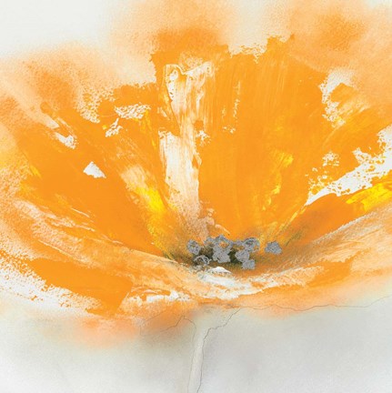 Framed Wild Orange Sherbet I Print