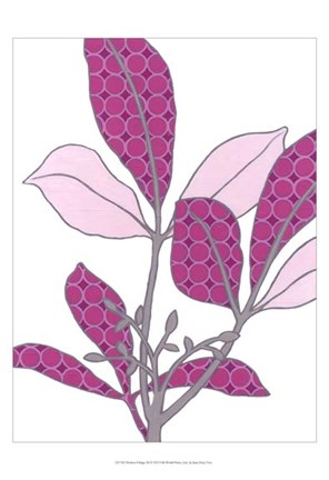 Framed Modern Foliage III Print