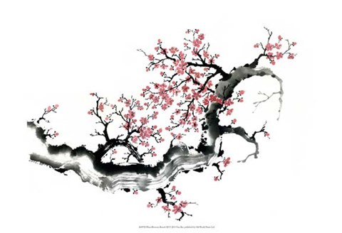 Framed Plum Blossom Branch III Print