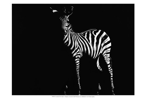 Framed Uncertain Print