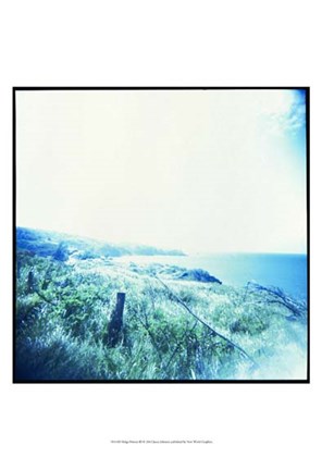 Framed Holga Hawaii III Print