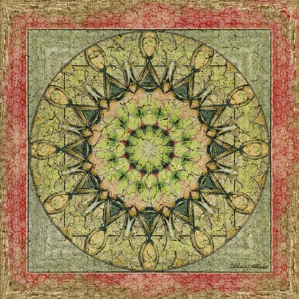 Framed Floress Mandala I Print