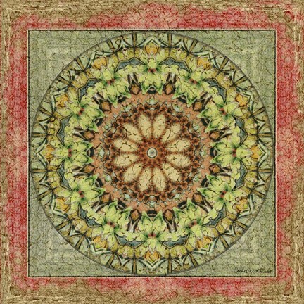 Framed Floress Mandala III Print