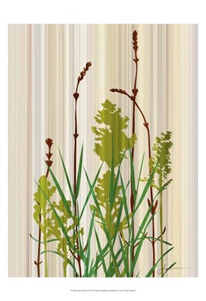 Framed Strip Garden II Print
