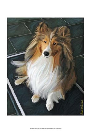 Framed Sheltie Bred to Bark Print