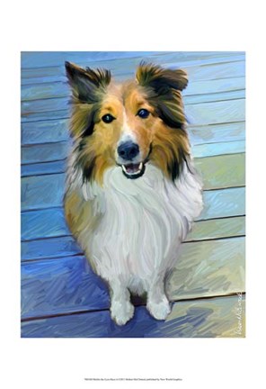 Framed Sheltie the Eyes Have it Print