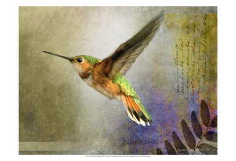 Framed Hummer Flight Print