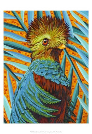 Framed Bird in the Tropics I Print