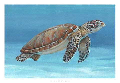 Framed Ocean Sea Turtle I Print