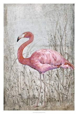 Framed American Flamingo II Print