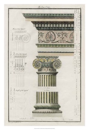 Framed Ionic Order Print