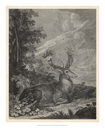 Framed Woodland Deer III Print