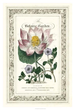 Framed Botanic Garden I Print