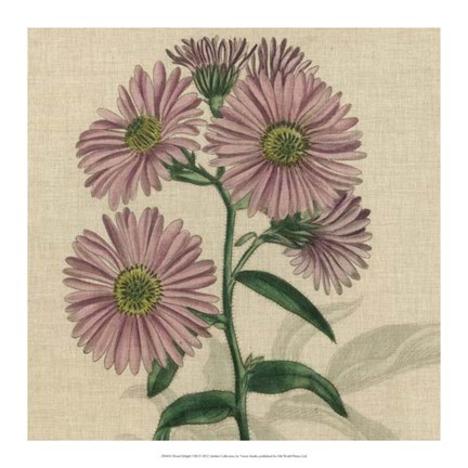 Framed Floral Delight VIII Print