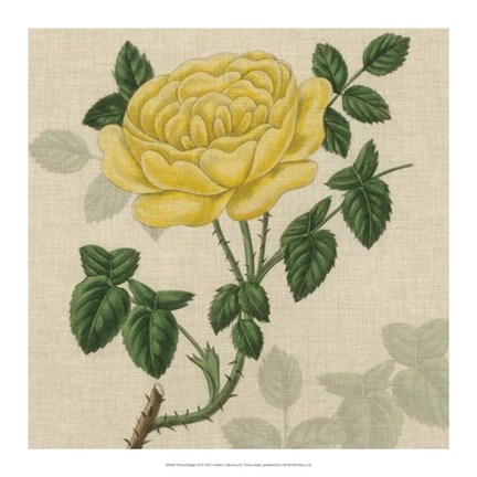 Framed Floral Delight IX Print