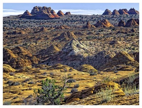 Framed View from Coyote Buttes Print