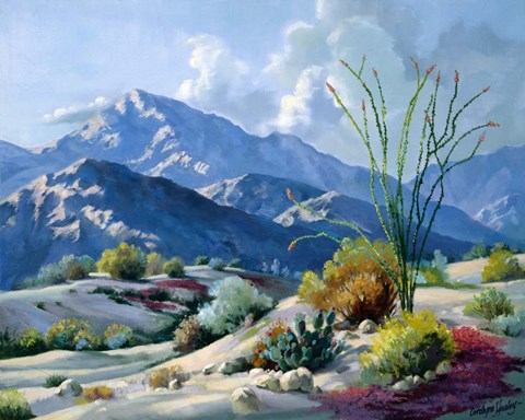 Framed Desert Serenade Print