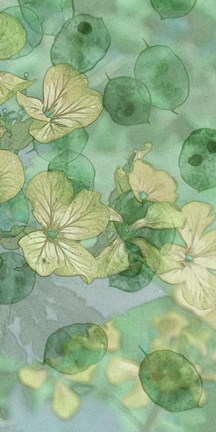 Framed Mint Progeny II Print