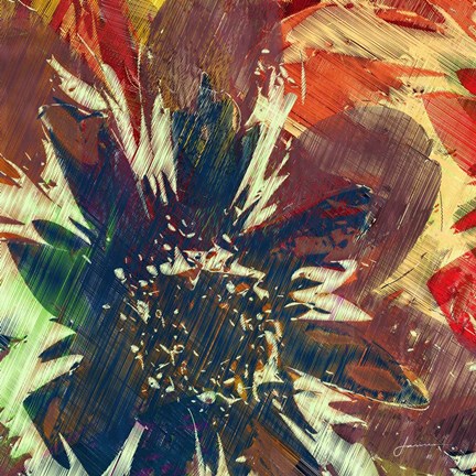 Framed Floragraph V Print