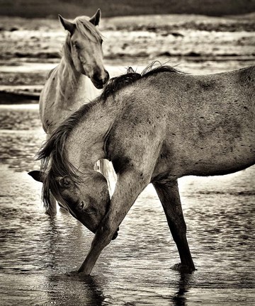 Framed Beach Horses I Print
