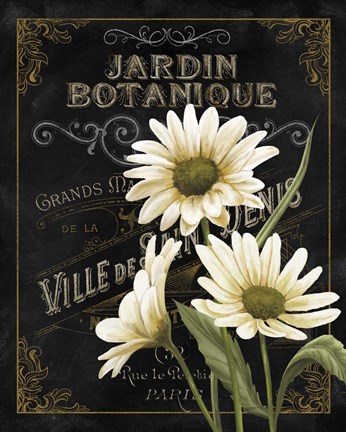 Framed Botanical Collection I Print