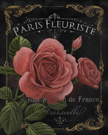 Framed Botanical Collection III Print