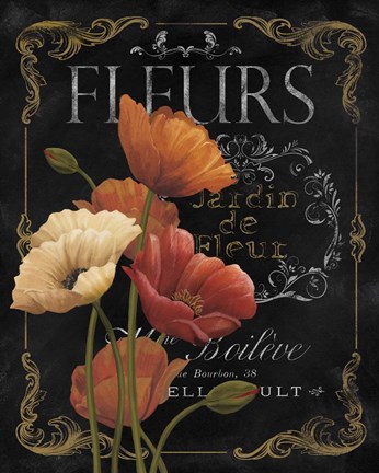 Framed Botanical Collection IV Print