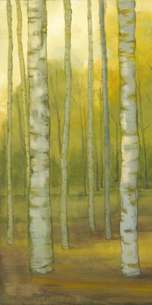 Framed Sunny Birch Grove I Print