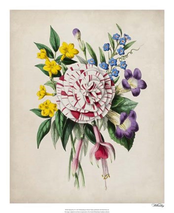 Framed Spring Posy IV Print